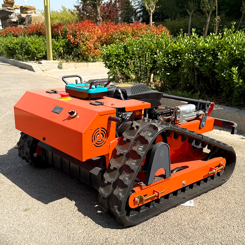 Customized Crawler Remote Lawn - đánh giá và giá Golf Zero